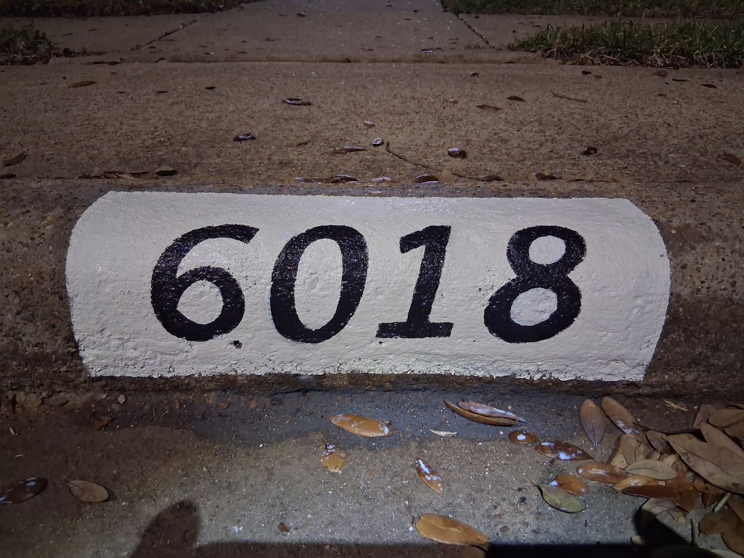 Residential High-Contrast Reflective Address Painting Houston
